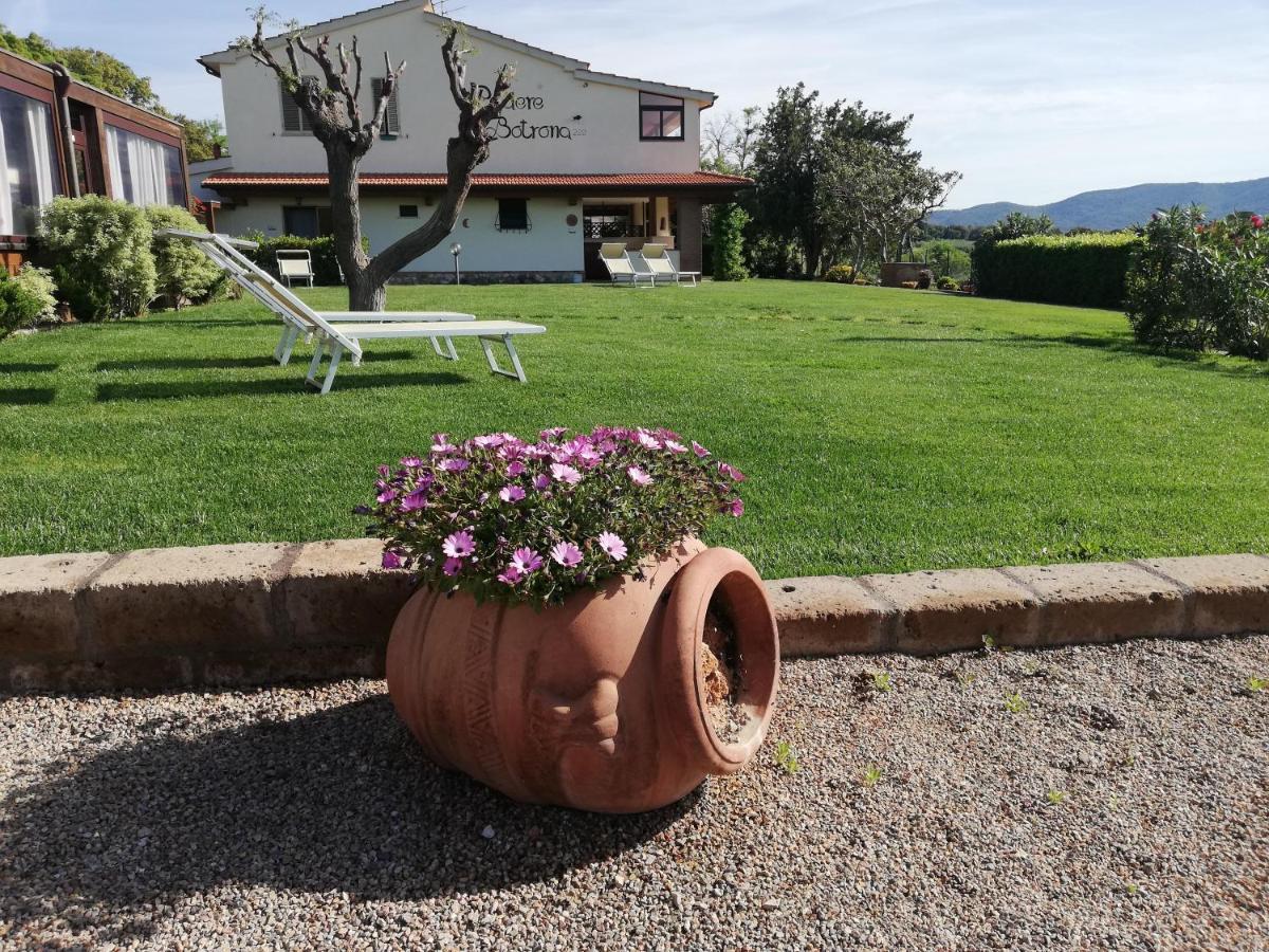 Agriturismo Diaccia Botrona Castiglione della Pescaia Exterior photo