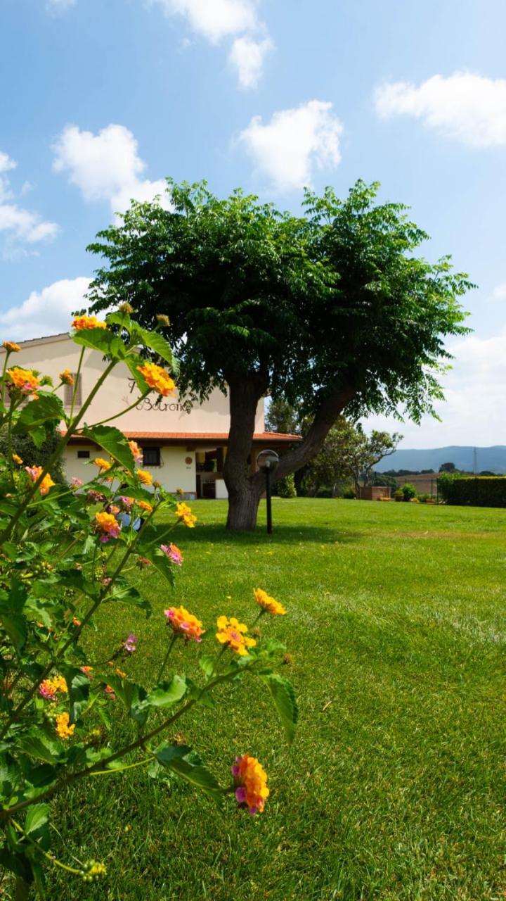 Agriturismo Diaccia Botrona Castiglione della Pescaia Exterior photo